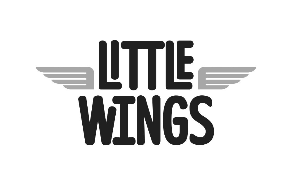 little-wings-partner